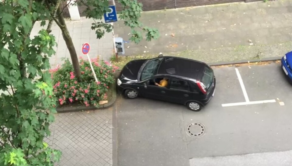 Hyleskæg video: Parkering går helt galt for denne kvinde Parkeringen, der gik fuldstændig galt. Foto: Youtube