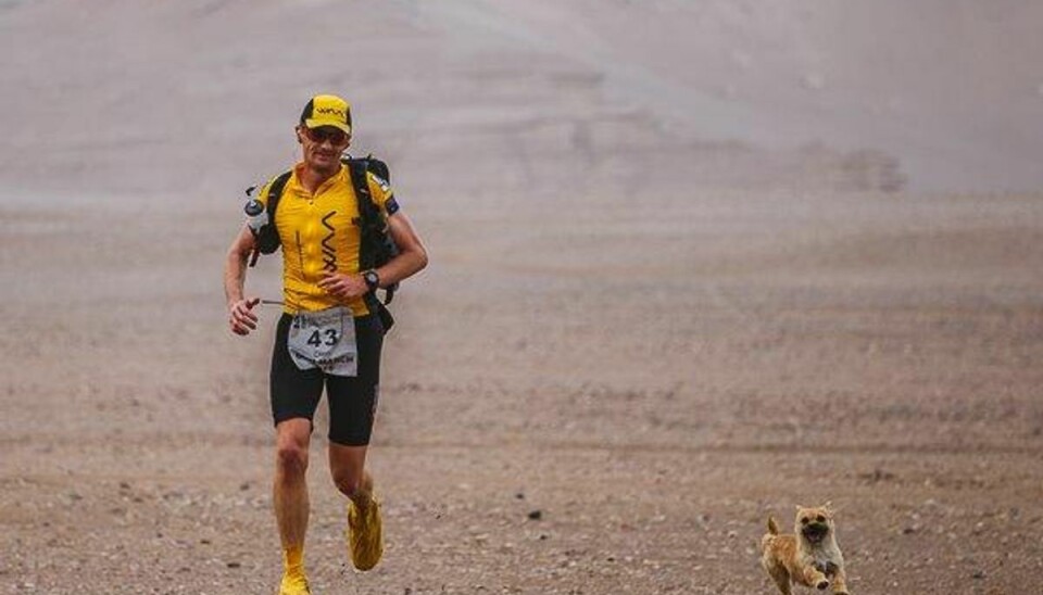 Gobi og Leonard fulgtes ad 124 kilometer under et ørkenløb i Kina. Klik videre og se flere billeder.Foto: Crowdfunder Gobi og Leonard fulgtes ad 124 kilometer under et ørkenløb i Kina. Klik videre og se flere billeder.Foto: Crowdfunder