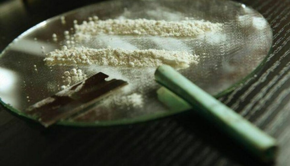 1731 kilo kokain blev i sidste uge beslaglagt af belgiske myndigheder. Foto: Colourbox/Free