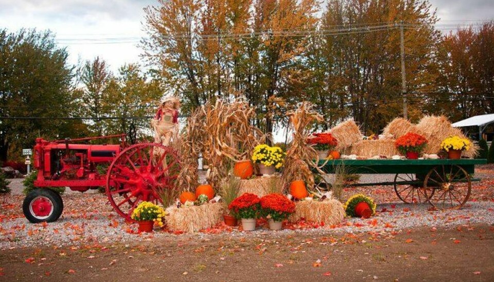 Arkivfoto: SCANPIX De såkaldte “hayrides” er en hyggelig amerikansk tradition. Men denne gang gik det grueligt galt.Arkivfoto: SCANPIX