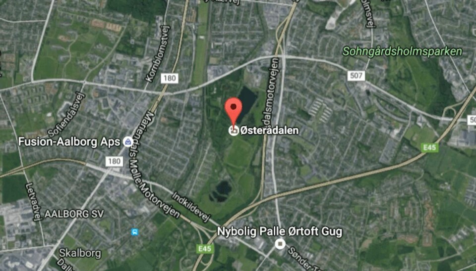 Det var her i Østerådalen i Aalborg en 20-årig kvinde blev forsøgt voldtaget. Foto: Google Maps.