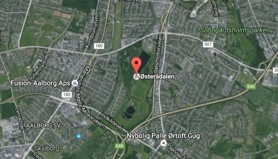 Voldtægtsforsøg af 20-årig midt på eftermiddagen Det var her i Østerådalen i Aalborg en 20-årig kvinde blev forsøgt voldtaget. Foto: Google Maps.