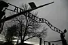 I juni blev en tidligere vagt i Auschwitz-lejren dømt ved en domstol i Tyskland, men antallet af sager mod de sidste overlevende nazistiske krigsforbrydere er forsvindende få. Foto: Kacper Pempel/Reuters