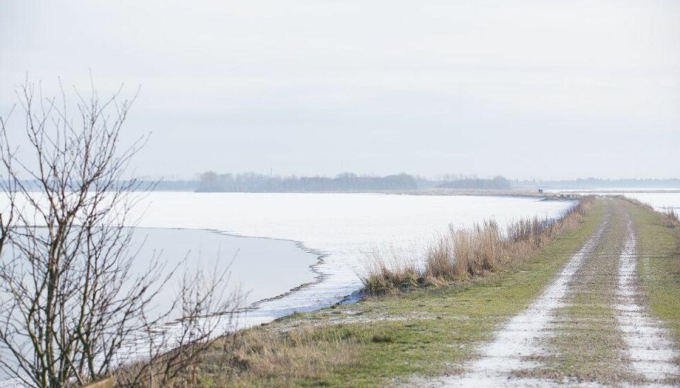 Mandag kommer til at føles kold – tirsdag bliver meget vildere. Klik og se femdøgnsprognose og advarsel om glatte veje. Foto: Colourbox. Mandag kommer til at føles kold – tirsdag bliver meget vildere. Klik og se femdøgnsprognose og advarsel om glatte veje. Foto: Colourbox.