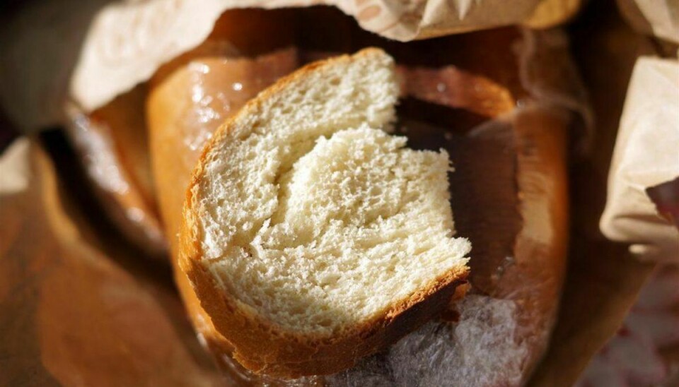 Holder du af at fodre ænder med tørt brød? Så skal du nok holde dig fra en særlig sø. Foto: Scanpix.