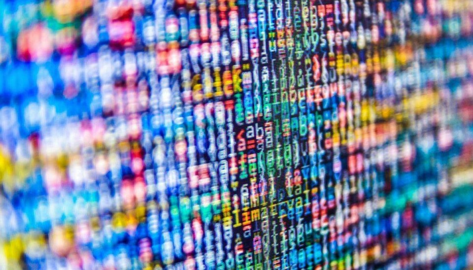 Offentlige hjemmesider deler følsomme data om danskerne Borgernes privatliv er blevet til en vare, det offentlige kan sælge. Foto: Scanpix.