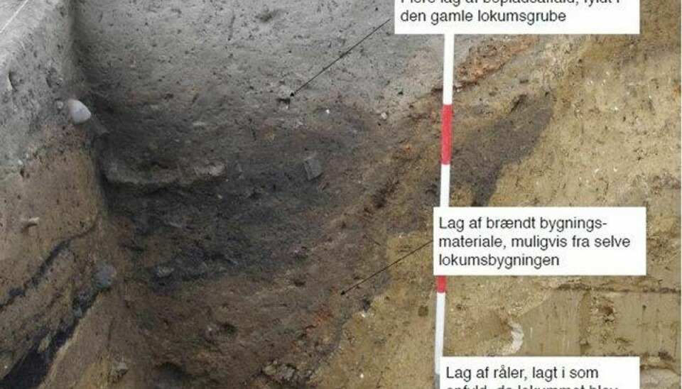Arkæologer har fundet Danmarks formentlig ældste lokum på et vikingebosted på Stevns. Hullet er to meter dybt, og analyser tyder på, at hullet er fyldt med menneskeafføring og har ligget inde i et lille hus. Foto: Anna S. Beck/Free