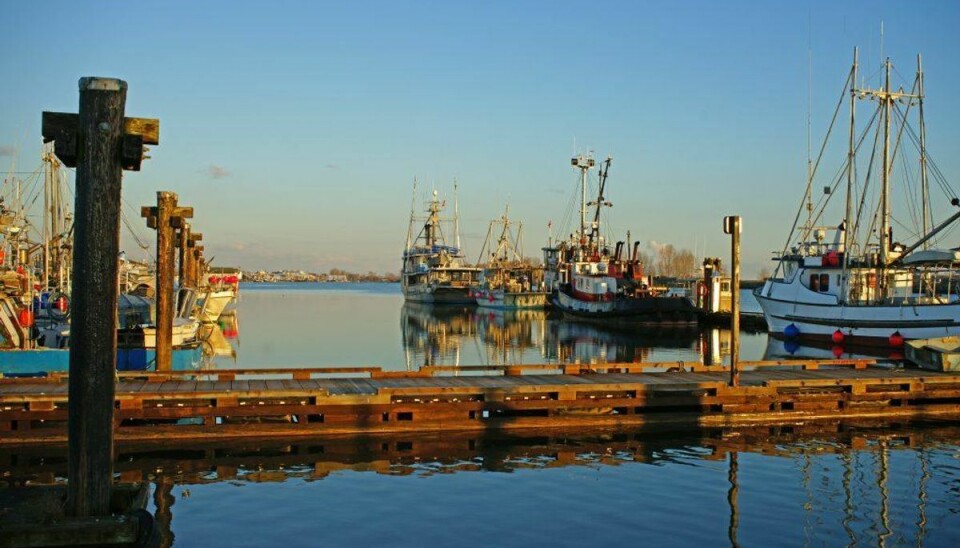 Arkivfoto: SCANPIX Pigen besøgte Steveston Havn i Canada sammen med sin familie.Arkivfoto: SCANPIX