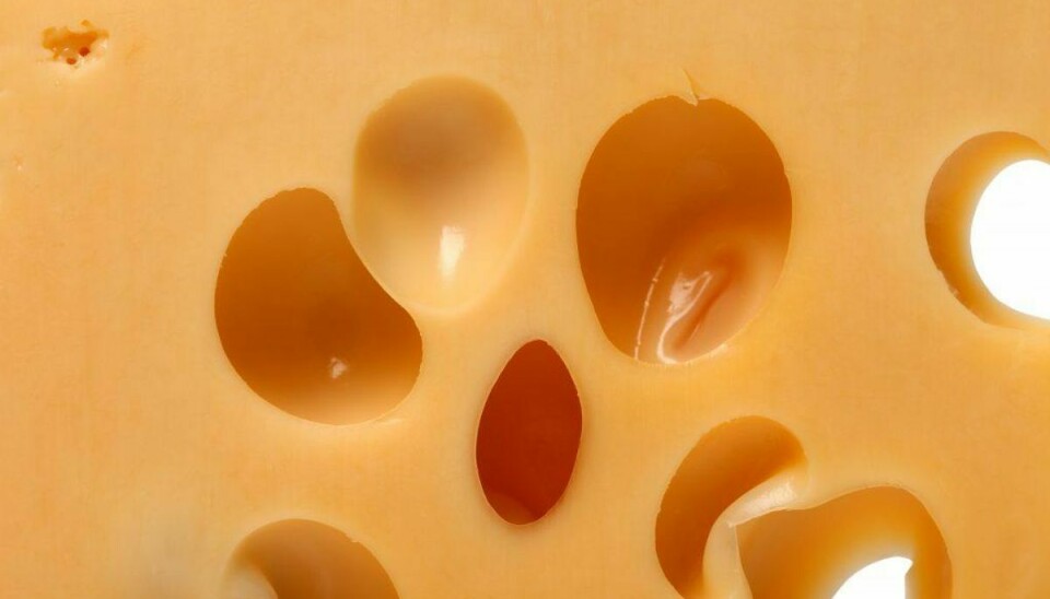 Et parti oste kaldes nu tilbage på grund af fare for vækst af mug og skimmel. Foto: Colourbox.