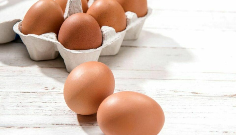 Fødevarestyrelsen fraråder dog fortsat ikke danskere at købe æg i Danmark. Foto: Scanpix.