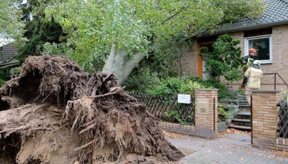 Foto: Jens Dudziak/AFP Et træ er væltet ned over en villa i Berlin under en storm, der har raset over det nordlige og østlige Tyskland. Foto: Jens Dudziak/AFP