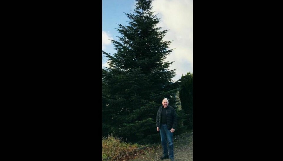 Erhardt Møller har skænket juletræet, som kommer til at skabe julestemning på Banegårdspladsen i Kolding frem til jul. Pressefoto.