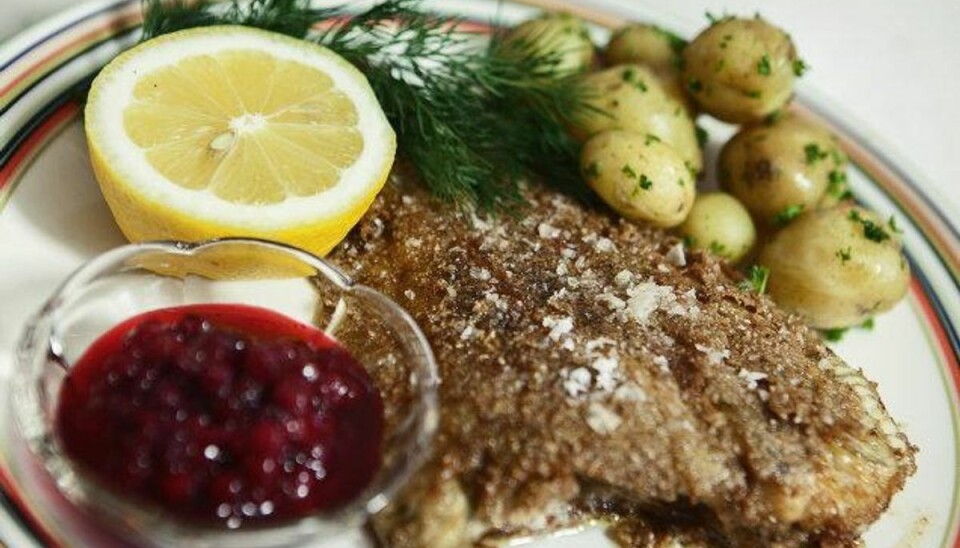 Klik igennem galleriet ovenover for at få gode råd til fedtindholdet i kosten.Foto: Kasper Palsnov/arkiv/Scanpix Klik igennem galleriet ovenover for at få gode råd til fedtindholdet i kosten.Foto: Kasper Palsnov/arkiv/Scanpix