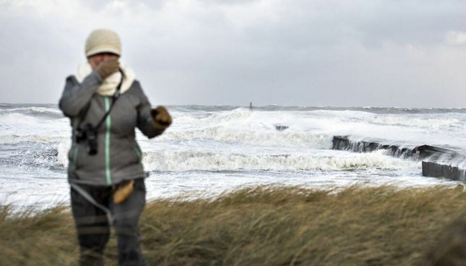 Søndag kommer det til at blæse. Rigtigt meget. KLIK og se, hvor de vilde vindstød angiveligt rammer. Her er billede fra efterdønningerne af stormen Gorm. Foto: Henning Bagger. Søndag kommer det til at blæse. Rigtigt meget. KLIK og se, hvor de vilde vindstød angiveligt rammer. Her er billede fra efterdønningerne af stormen Gorm. Foto: Henning Bagger.