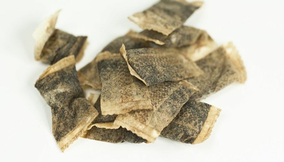 Sådan ser poserne med snus ud. Foto: Colourbox. Sådan ser poserne med snus ud. Foto: Colourbox.