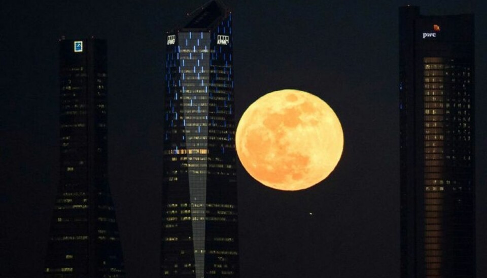 Supermånen har resulteret i nogle fantastiske billeder. KLIK VIDERE I GALLERIET OG SE BILLEDER AF MÅNEN, SOM DU ALDRIG HAR SET DEN FØR. Madrid, Spanien. Foto: Scanpix. Supermånen har resulteret i nogle fantastiske billeder. KLIK VIDERE I GALLERIET OG SE BILLEDER AF MÅNEN, SOM DU ALDRIG HAR SET DEN FØR. Madrid, Spanien. Foto: Scanpix.