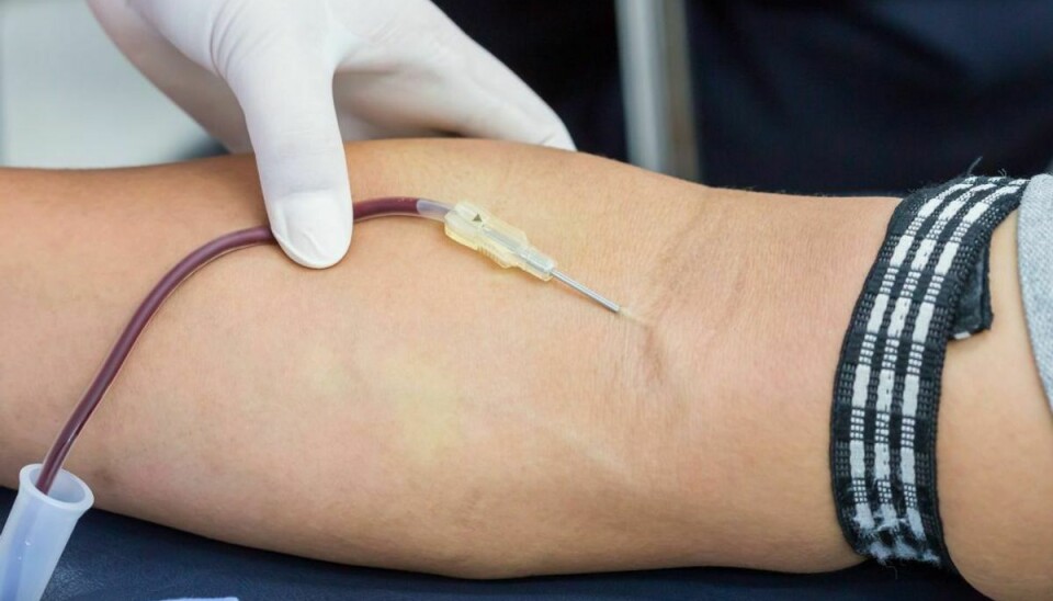 De mange personer får mulighed for at afgive en blodprøve, der vil vise, omd e er smittede. Arkivfoto.