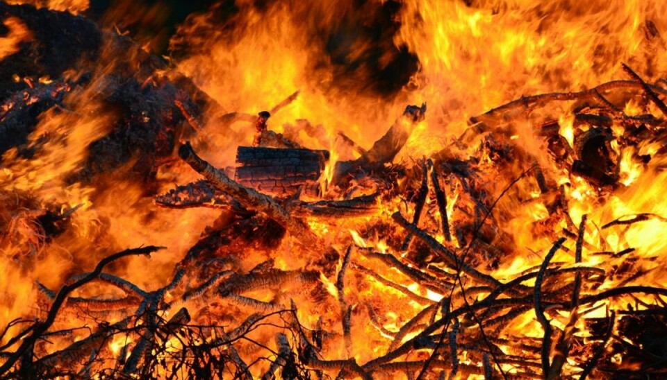Naturbrand hærger i knastørt område Flammerne er svære at slukke.
