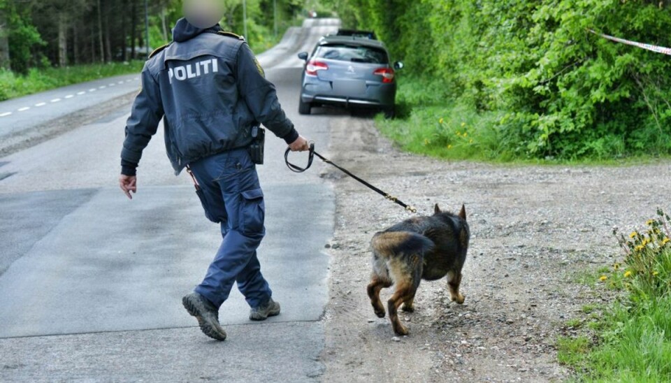 Uskyldig kvinde bidt af politihund Hunden på dette billede har intet med sagen at gøre. Genrefoto.
