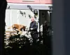 Politiet har afspærret og eftersøgt området med hunde. Foto: Scanpix/Adam Ihse