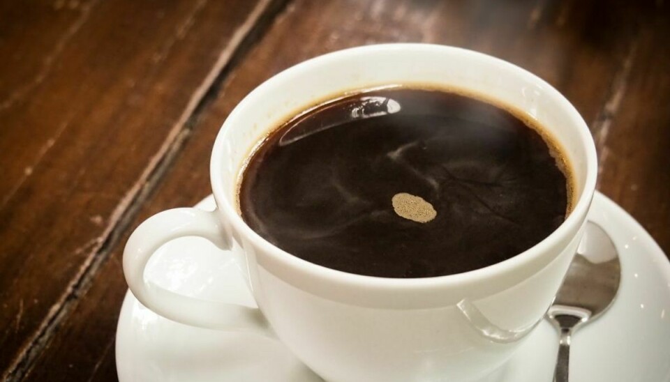 Ny forskning indikerer, at fire daglige kopper kaffe kan være godt for helbredet. Foto: Scanpix