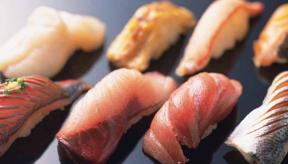 Varme rejer koster sushirestaurant dyrt Rejerne i køleskabet var næsten 10 grader for varme. (Foto: Colourbox)