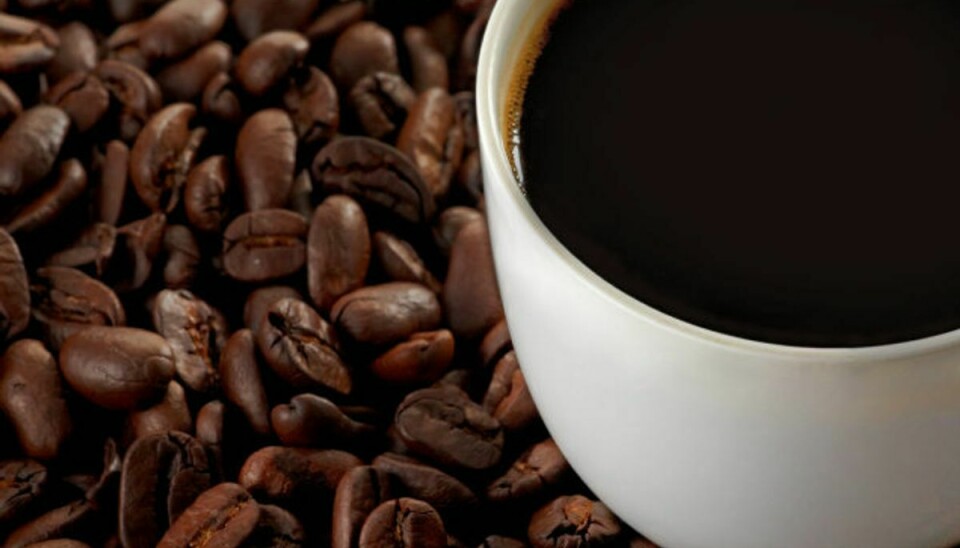 Har du styr på hvor meget koffein du indtager hver dag? Hvis ikke, så klik igennem galleriet for at se hvor meget koffein der er i forskellige typer af kaffe.