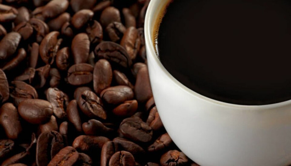 Har du styr på hvor meget koffein du indtager hver dag? Hvis ikke, så klik igennem galleriet for at se hvor meget koffein der er i forskellige typer af kaffe. Har du styr på hvor meget koffein du indtager hver dag? Hvis ikke, så klik igennem galleriet for at se hvor meget koffein der er i forskellige typer af kaffe.