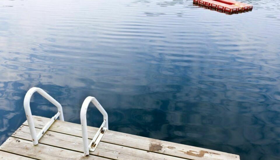 En kun seksårig pige blev fundet livløs i en sø. Arkivfoto: Scanpix.