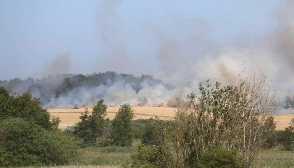 En større naturbrand har fået politiet til at spærre Søbyvej på Djursland. Foto: Øxenholt Foto En større naturbrand har fået politiet til at spærre Søbyvej på Djursland. Foto: Øxenholt Foto