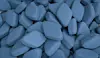 Viagra er nok bedst kendt som et potensmiddel til mænd. (Foto: Shutterstock)