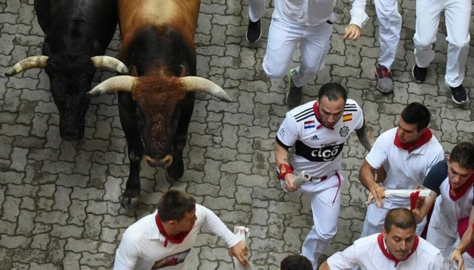 28 personer såret under tyreløb Deltagere løber foran tyrene til det sidste løb ved festivalen San Fermin i den spanske by Pamplona lørdag. Foto: Jose Jordan/AFP