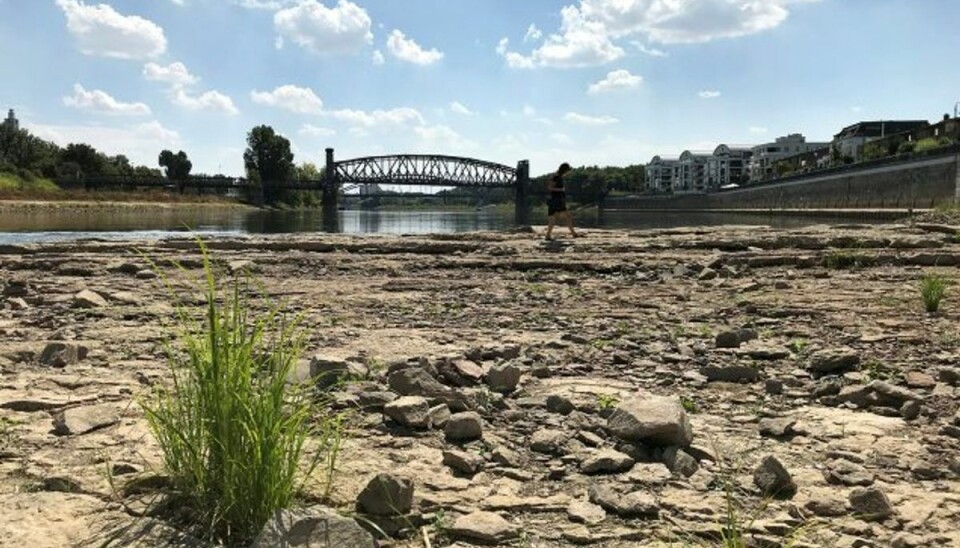 Der er så varmt i Tyskland, at nogle menneskers liv og helbred kan være i fare. Billedet er fra Magdeburg i delstaten Sachsen-Anhalt, hvor de tirsdag er målt 39,2 grader. Foto: Hurlin Tilman/Reuters