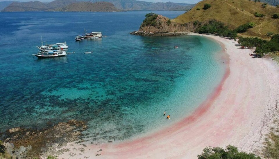 Øen Lombok er normalt kendt som et ferieparadis, men i den seneste tid har øen været ramt af flere ødelæggende jordskælv. Foto: Scanpix