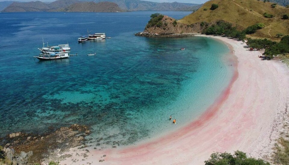 Øen Lombok er normalt kendt som et ferieparadis, men i den seneste tid har øen været ramt af flere ødelæggende jordskælv. Foto: Scanpix