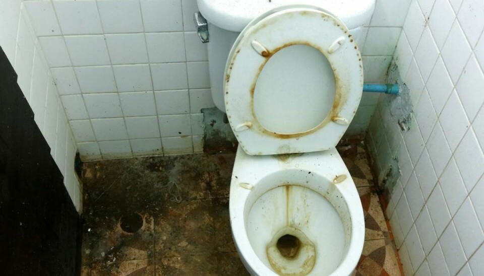 Derfor skal du tjekke kummen efter et toiletbesøg