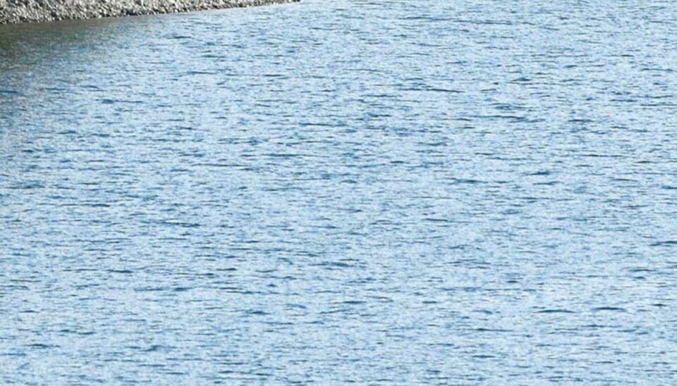 En mand druknede i en privat sø søndag. Genrefoto: Scanpix