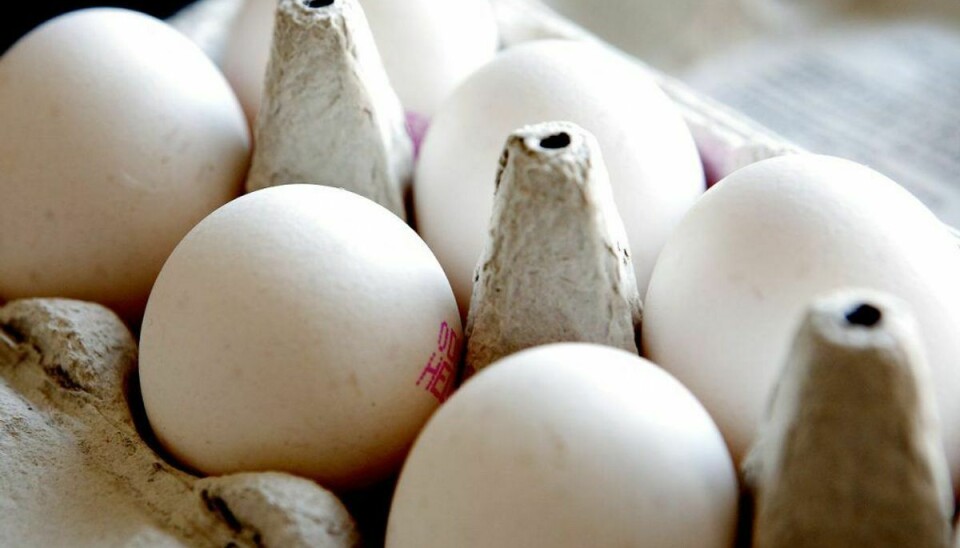 Fra mandag ser dine æg anderledes ud – i hvert fald hvis du køber en bestemt type. De er nemlig blevet tatoveret. Se hvad det betyder her i galleriet. Foto: Scanpix