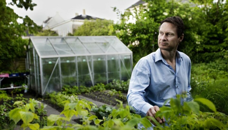 Kokken Claus Meyer har opskriften på de perfekte kogte kartofler. KLIK og se hans råd. Foto: Mads Nissen/Scanpix.