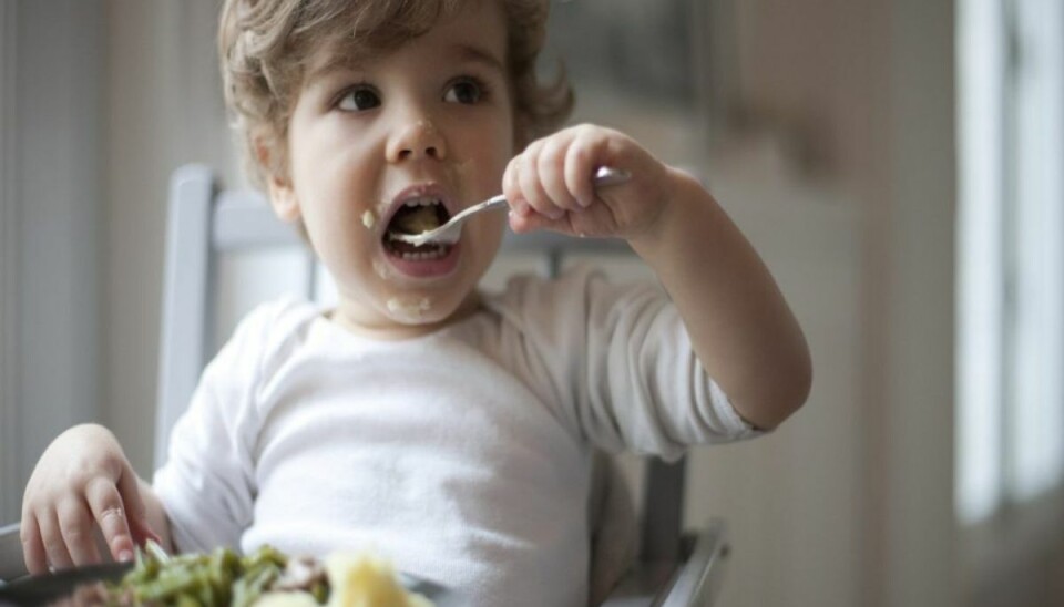 Der er mange fødevarer, der farlige for børn. Klik videre og se hvilke. Foto: Colourbox Der er mange fødevarer, der farlige for børn. Klik videre og se hvilke. Foto: Colourbox