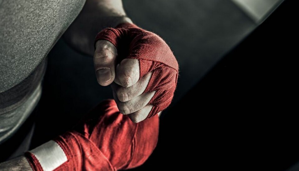 Livsfarligt fænomen breder sig Det kan gå grueligt galt, advarer Dansk Bokse Union. (Foto: Shutterstock)