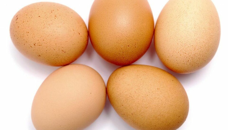 Kender du vitamin E? Derfor er det vigtigt