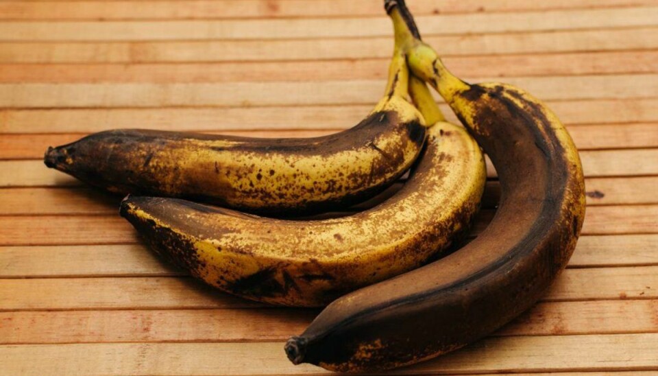 Sådan undgår du brune bananer