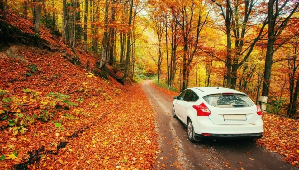 Er din bil klar til efterårets luner? KLIK VIDERE i galleriet og bliv helt klar! (Foto: Shutterstock)