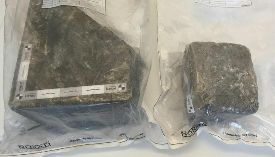 Det var en 30 kilo tung sten, der dræbte Nelli Gosmann. Foto: Politiet. Det var en 30 kilo tung sten, der dræbte Nelli Gosmann. Foto: Politiet.