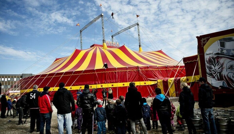 Artist styrtet ned under cirkusforestilling Cirkus Arena markedsfører sig som Nordens Største Cirkus. Foto: Scanpix