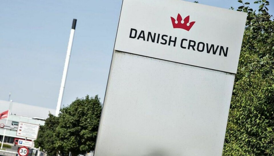 Danish Crown i uventet fyringsrunde Det er mangel på slagtesvin, der fører til fyringerne. Foto: Henning Bagger/Ritzau Scanpix.