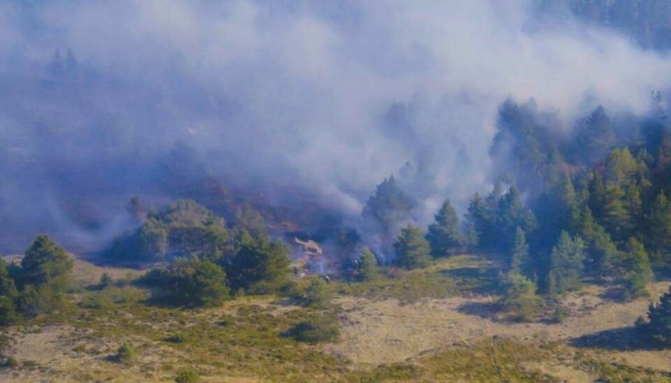 En voldsom naturbrand hærgede søndag i Nordjylland. KLIK FOR FLERE BILLEDER. Foto: Presse-fotos.dk.