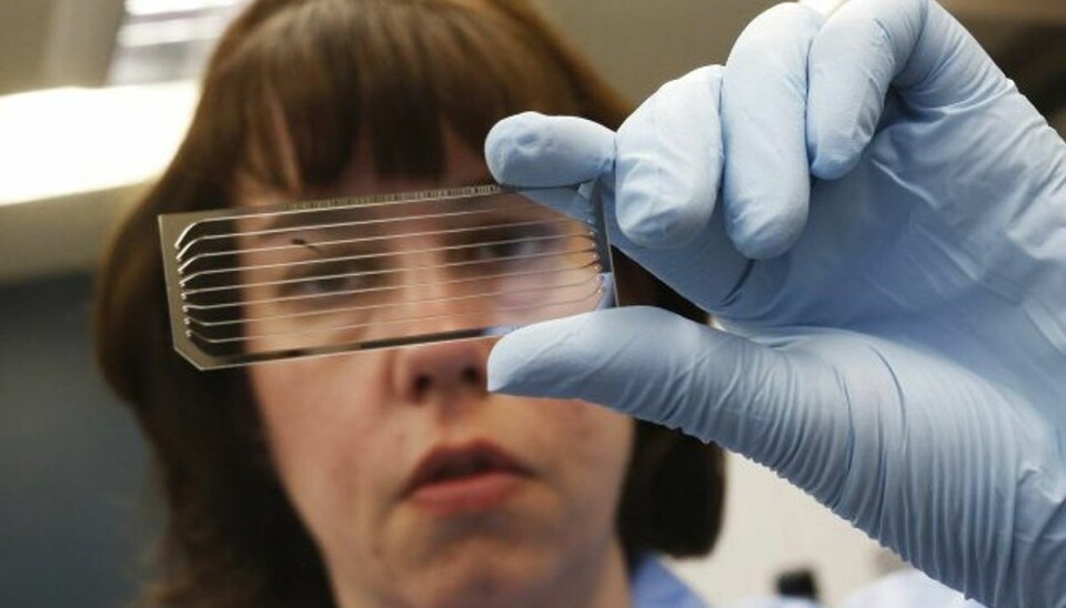 Tjek dette før du sender data til dna-apps Hvis virksomheden ikke hører til inden for EU, er de ikke forpligtede til at overholde EU’s persondataforordning. (Arkivfoto) Foto: Jim Young/Reuters