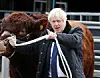 Boris Johnson kommer ikke til at bede EU om udsættelse, siger han selv. Arkivfoto: Scanpix